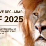 Guia Completo da Declaração do Imposto de Renda 2025 O Que Você Precisa Saber