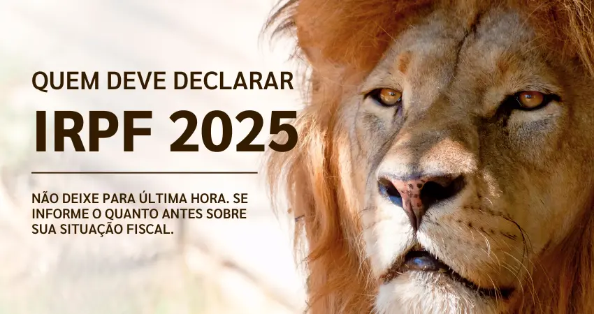 Guia Completo da Declaração do Imposto de Renda 2025 O Que Você Precisa Saber